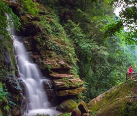 碧峰峽、上里古鎮(zhèn)二日游