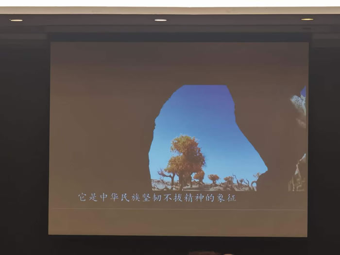 綿陽中旅行假日旅行社舉行胡楊林、南疆專列推薦會