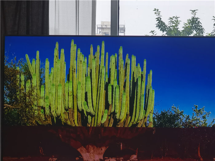 綿陽(yáng)中旅假日旅行社2025年澳洲暨秋季線(xiàn)路品鑒會(huì)